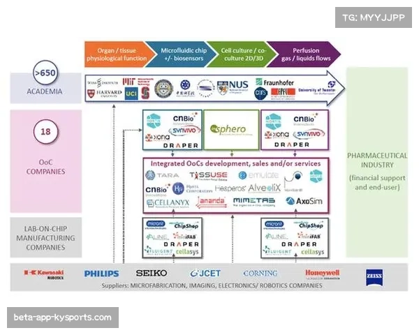 Match Insights系统可生成1500种统计组合 多维数据支撑战术决策